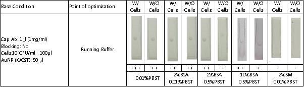 KAIST 방법을 이용한 lateral flow detection(SA7E3)에서 running buffer 최적화