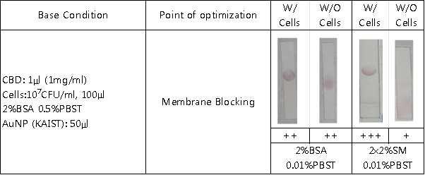 KAIST 방법을 이용한 lateral flow detection(SA7E3+CBD)에서 membrane blocking 최적화