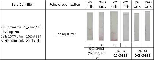GIB 방법을 이용한 lateral flow detection(SA7E3+commercial Ab)에서 running buffer 최적화