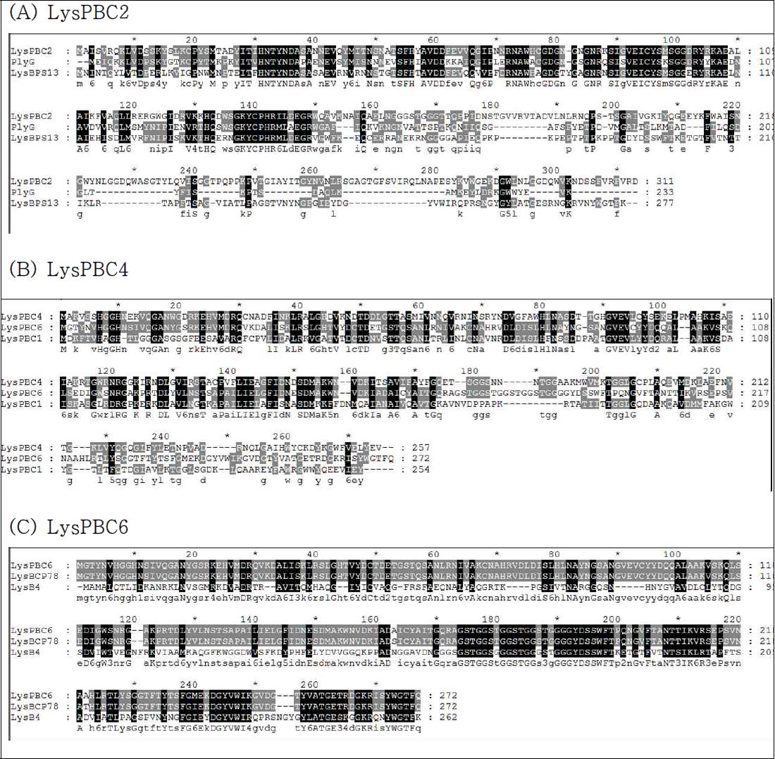 각 B. cereus phage endolysin 의 sequence alignment 결과