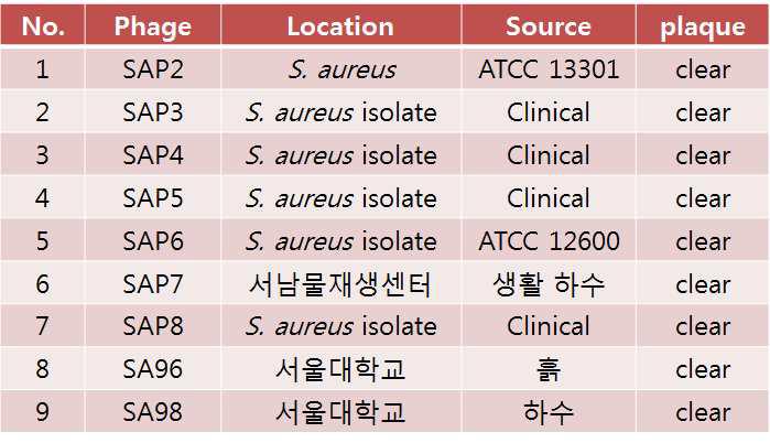 S. aureus를 감염시키는 bacteriophage 목록