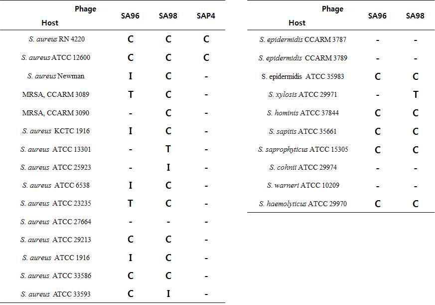 S. aureus 를 감염시키는 bacteriophage의 host range 분석