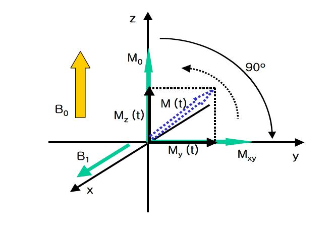 Role of B1 pulse, 90° RF pulse. The RF pulse nutates magnetization M to x-y (transverse) plane. Bo is an external magnetic field.