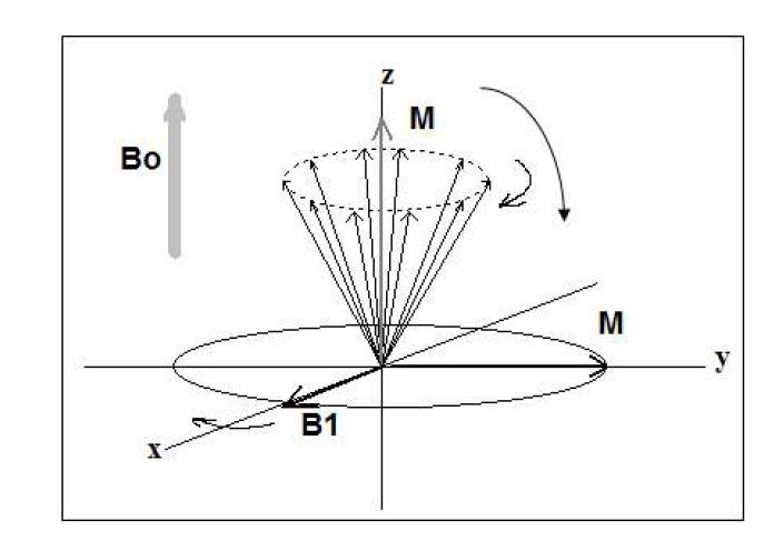 Role of 90° B1 pulse generated by RF coil and direction of B0.