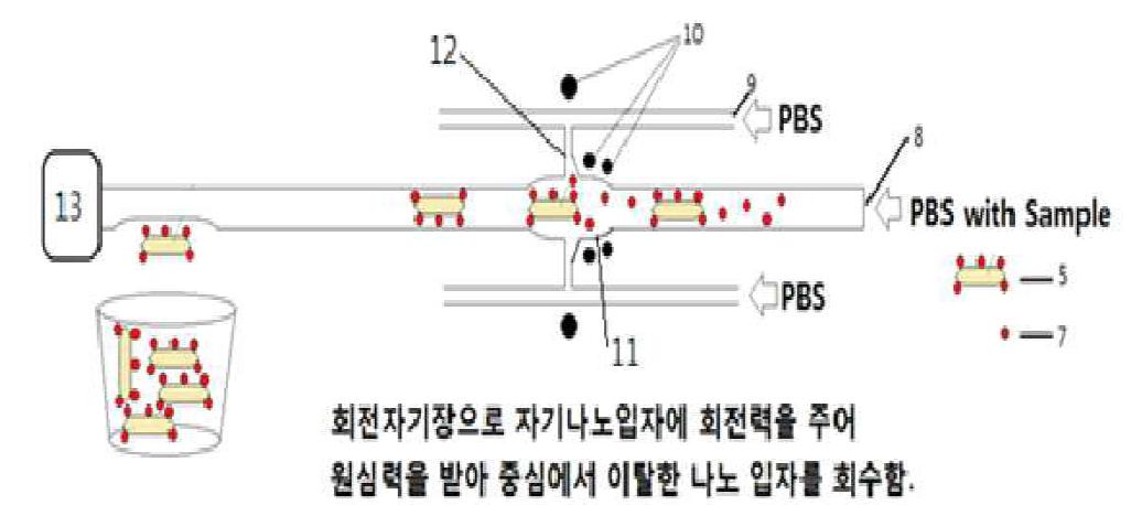 Schematic diagram of MNP separation device.