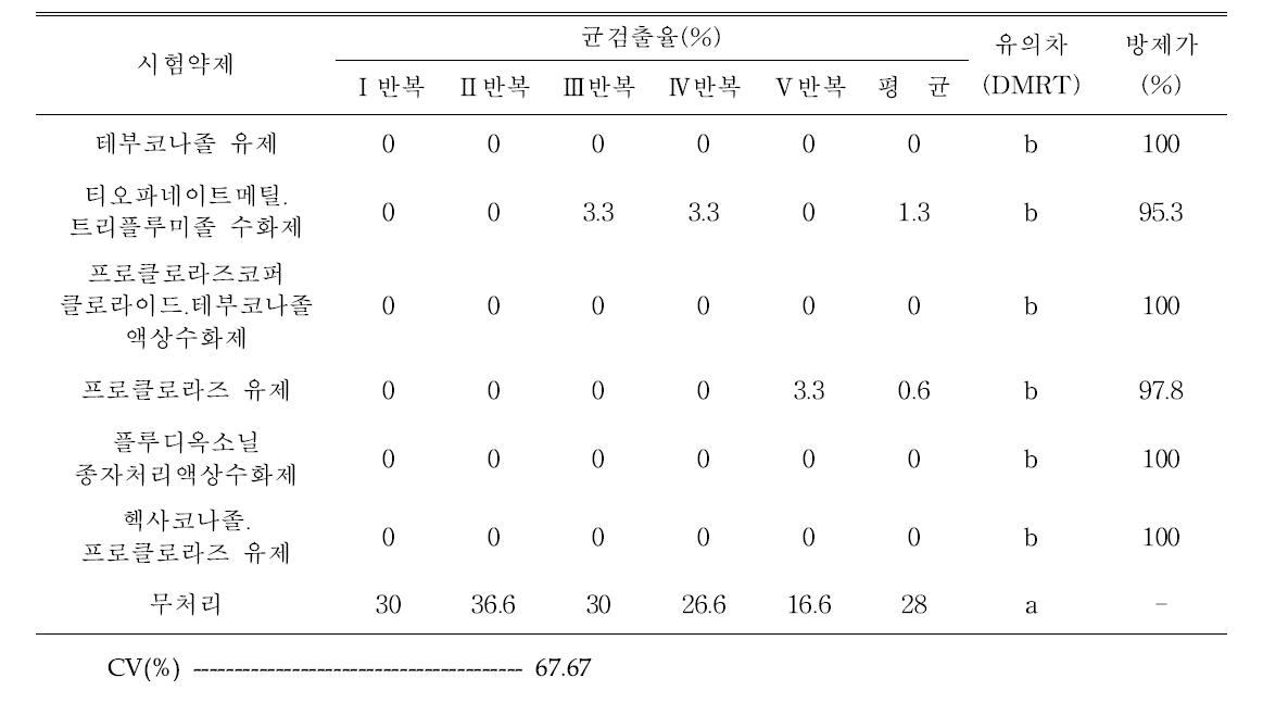 큰꽃삽주 종자소독제 약효 시험(Fusarium spp., 대상 치상 후 3일차)