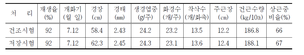 황금 건조 및 저장방법 시험 시료용 생육상황