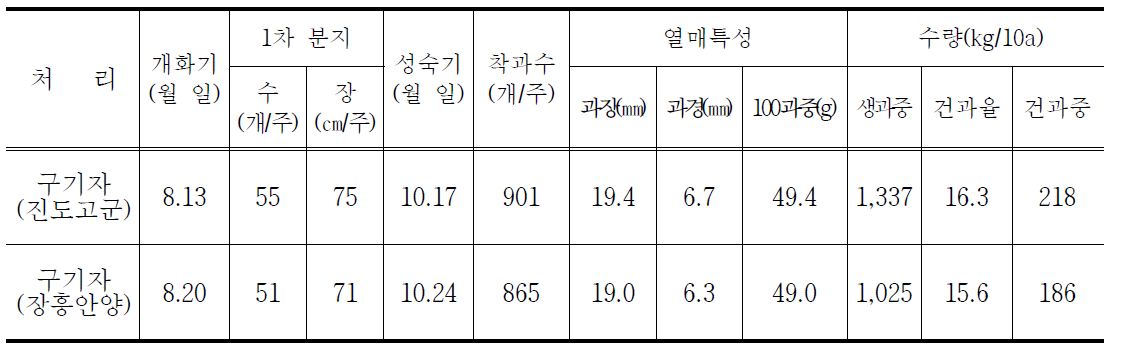 구기자 지상부 생육 및 열매 수량성