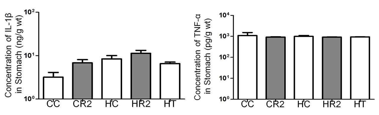 4`FRVE에 의한 proinflammatory cytokine level