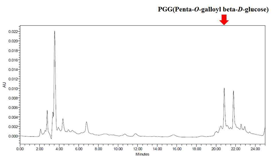 HPLC profile of urushiol free fermented Rhus verniciflua bark hot water extract