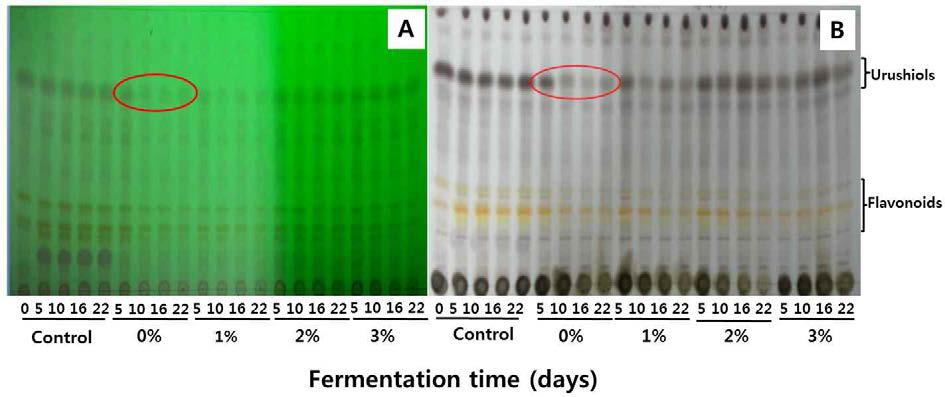 TLC analysis of Rhus verniciflua bark fermented with Fomitella fraxinea liquid spawn which supplemented with different RVB* concentration on GMEB**.