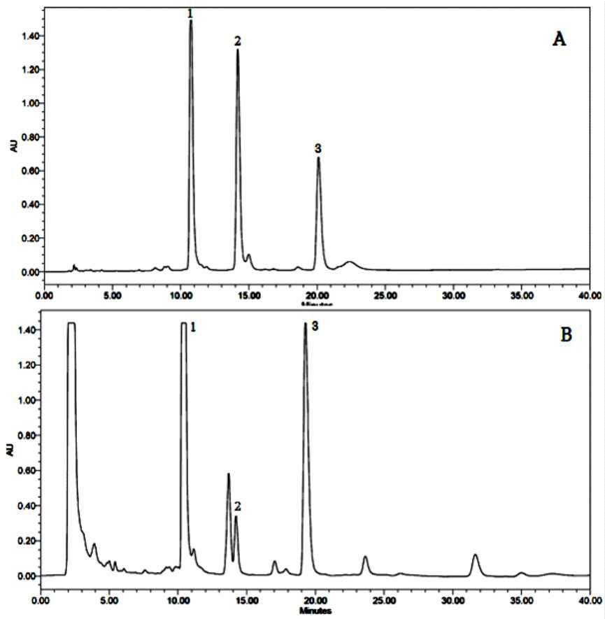 HPLC chromatogram of urushiol congeners from Rhus verniciflua Stokes barks.