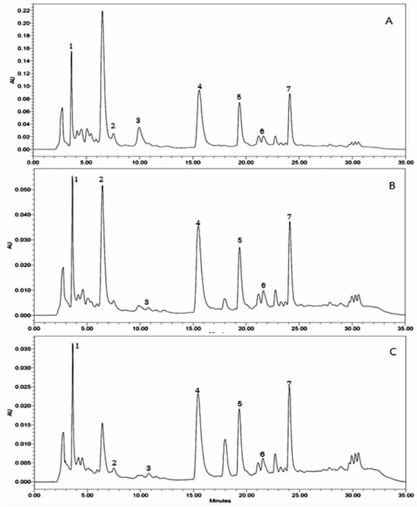 HPLC chromatogram of flavonoid contents from Rhus verniciflua Stokes barks fermented with Fomitella fraxinea liquid spawn