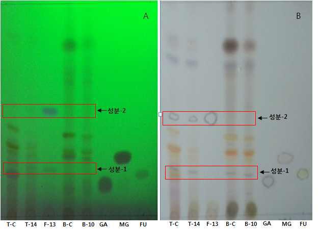 발효 (14일) 톱밥에서 검출된 신규성분의 TLC chromatogram.