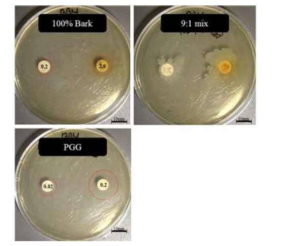 Antimicrobial activity at ***rent parts of fermented Rhus verniciflua against Helicobacter pylori by disc method.