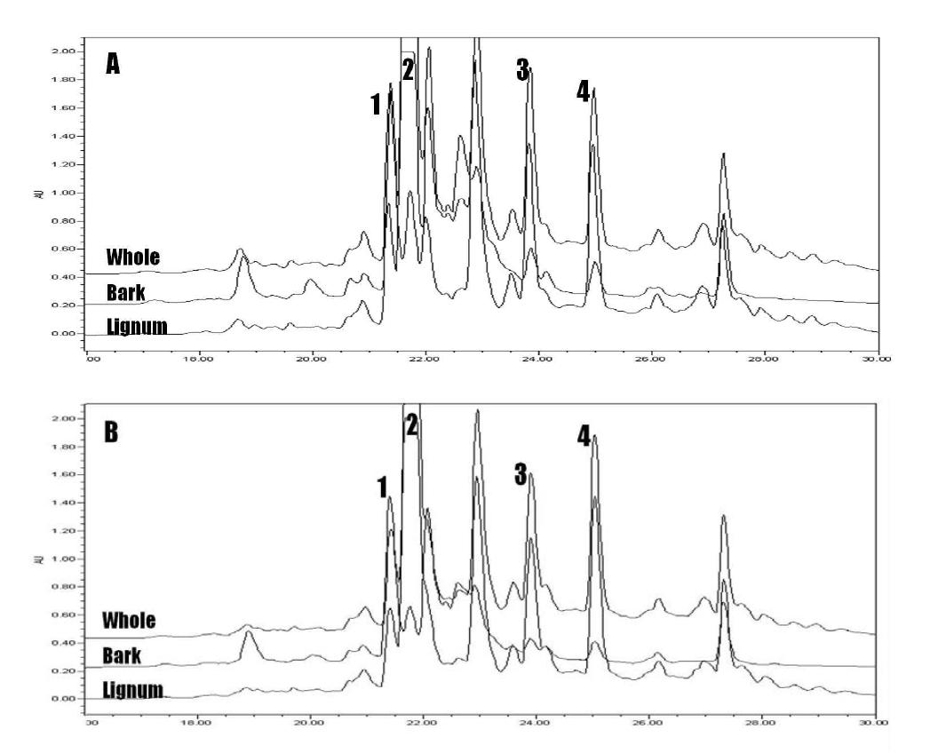HPLC chromatogram of flavonoid compounds in different parts of Rhus verniciflua stem from Wonju(A) and Okcheon(B).