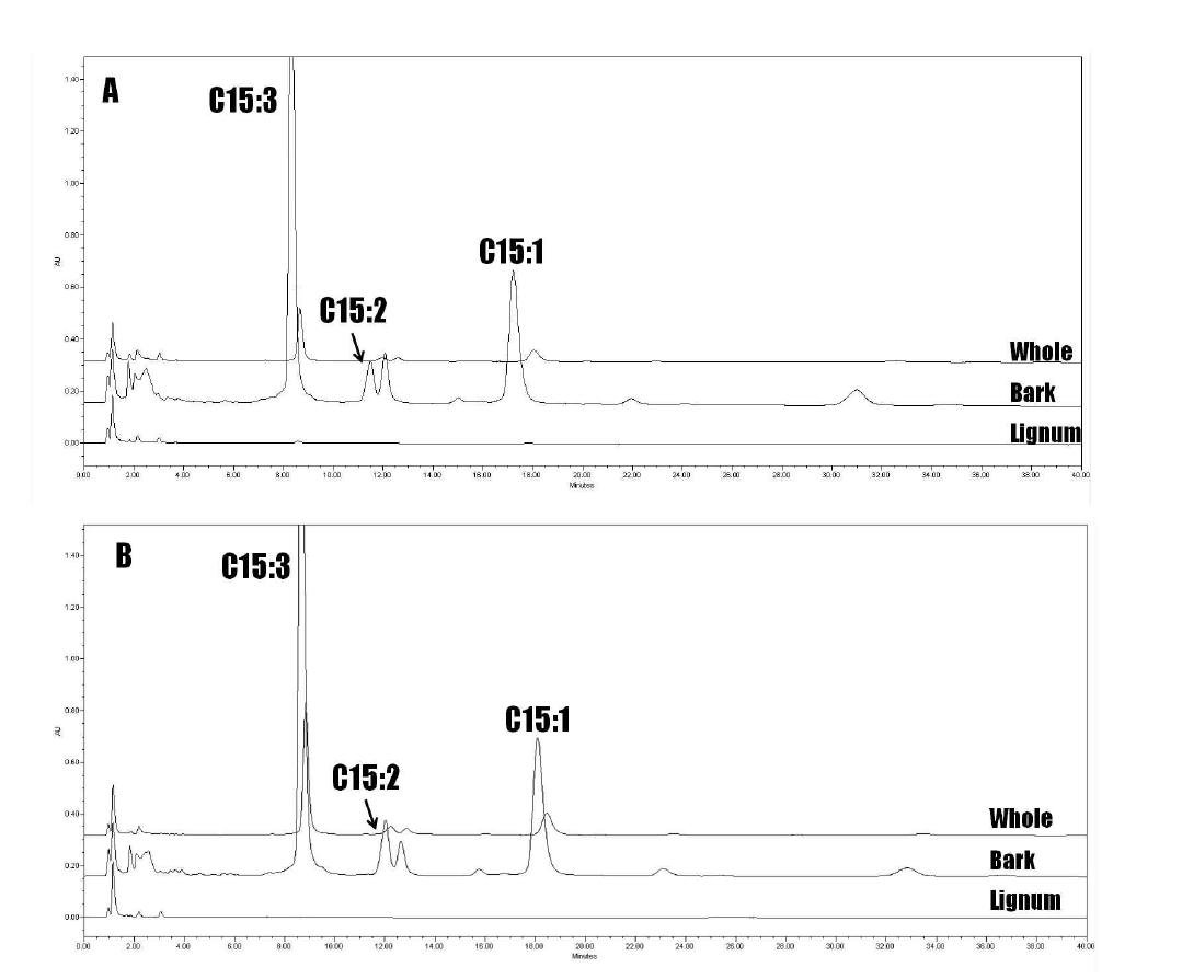 HPLC chromatogram of urushiol congeners in different parts of Rhus verniciflua stem from Wonju(A) and Okcheon(B).