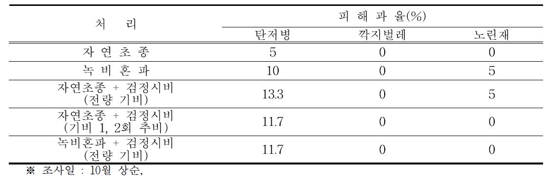 처리별 주요 병해충 발생정도