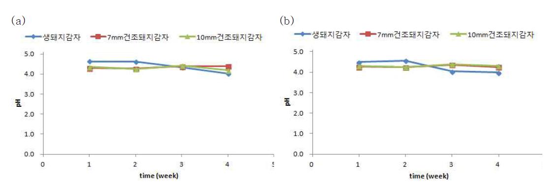 돼지감자 장아찌(a)와 침지액(b)의 숙성 중 pH 변화