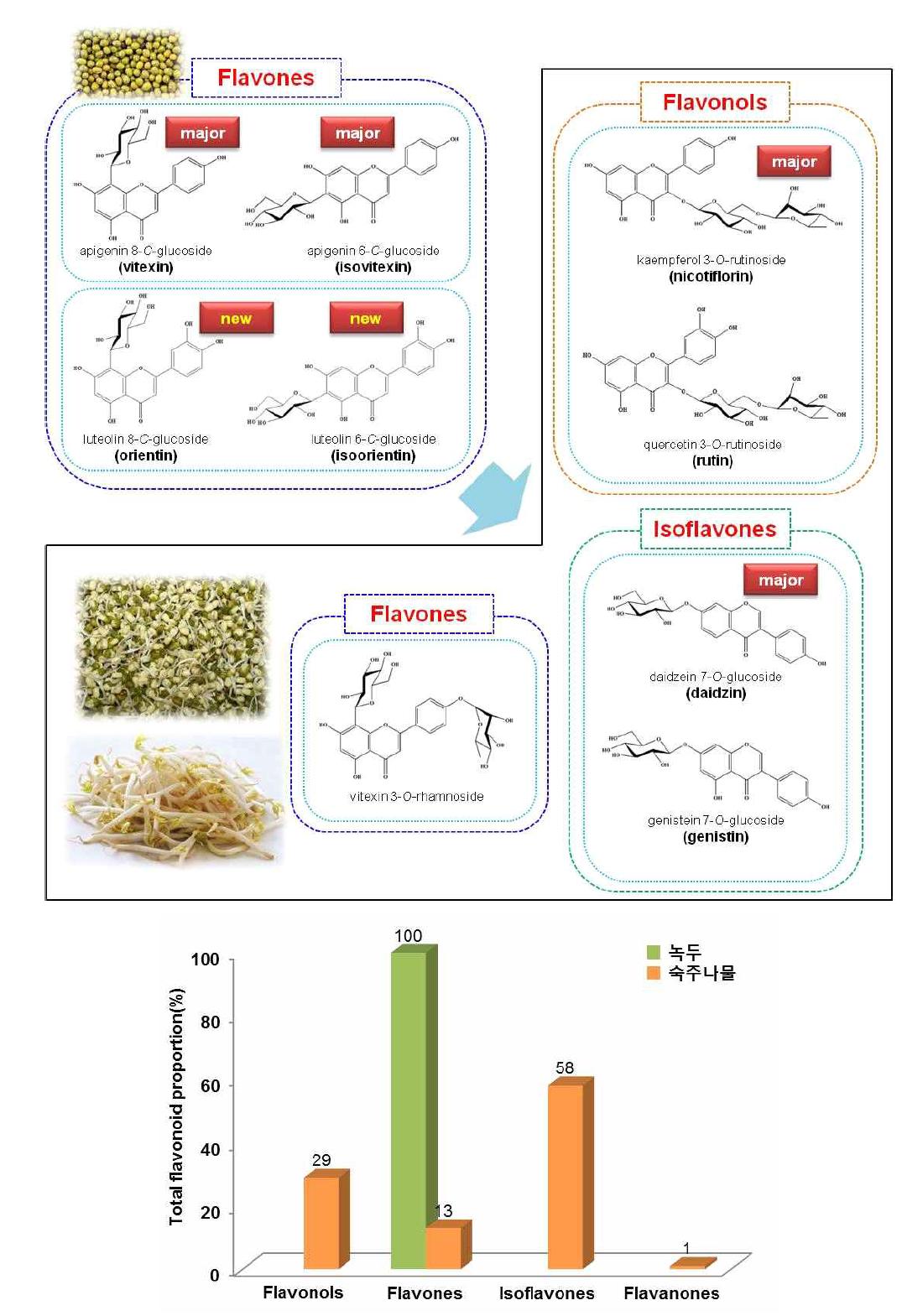 녹두에서 숙주나물로 발아시 플라보노이드 패턴 변화