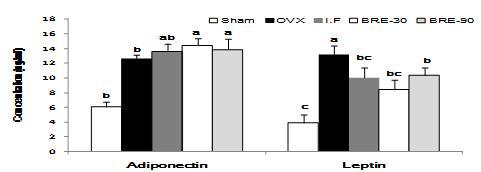 Serum leptin concentration of experimental rats.