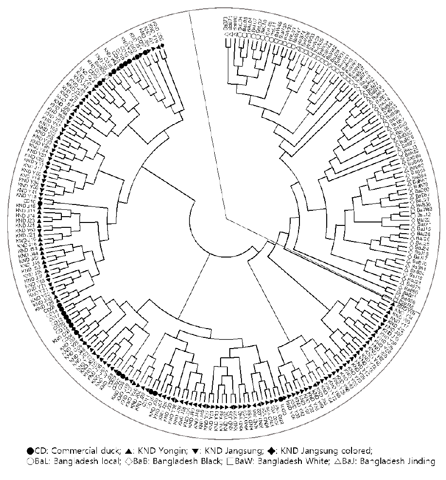 Phylogenetic analysis based on the genetic distances among individual samples using 14 selected MS markers.