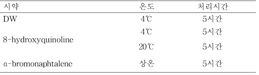 최적의 국화 염색체 슬라이드 제작을 위한 전처리 조건.