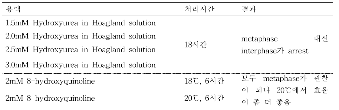 전처리 시약에 따른 중기상 arrest 실험.