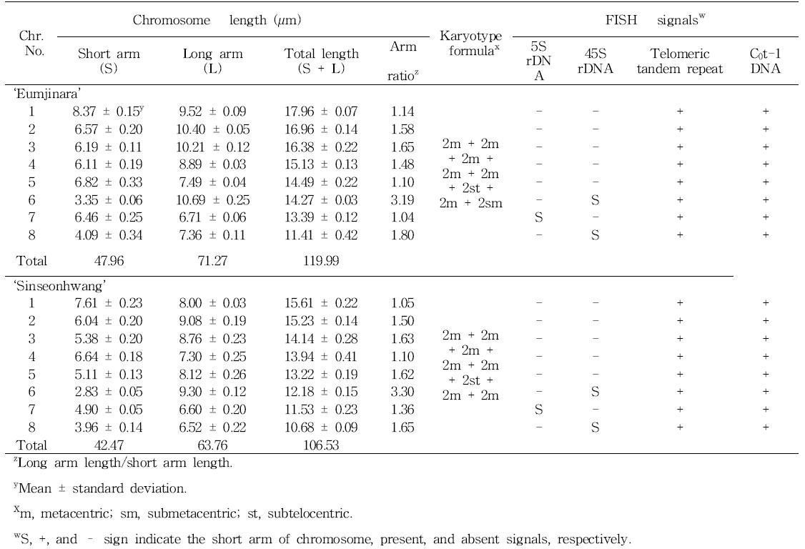 Karyotype analyses of Allium cepa L. ‘Eumjinara’ and ‘Sinseonhwang’.