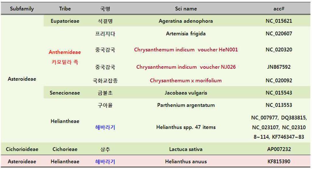 Genbank에 보고된 국화과 세포질 유전체의 완전 염기서열(2014년 1월 21현재).