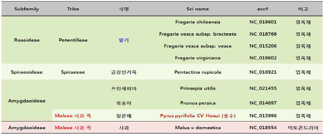 Genbank에 보고된 장미과 세포질 유전체의 완전 염기서열(2014년 1월 21현재).