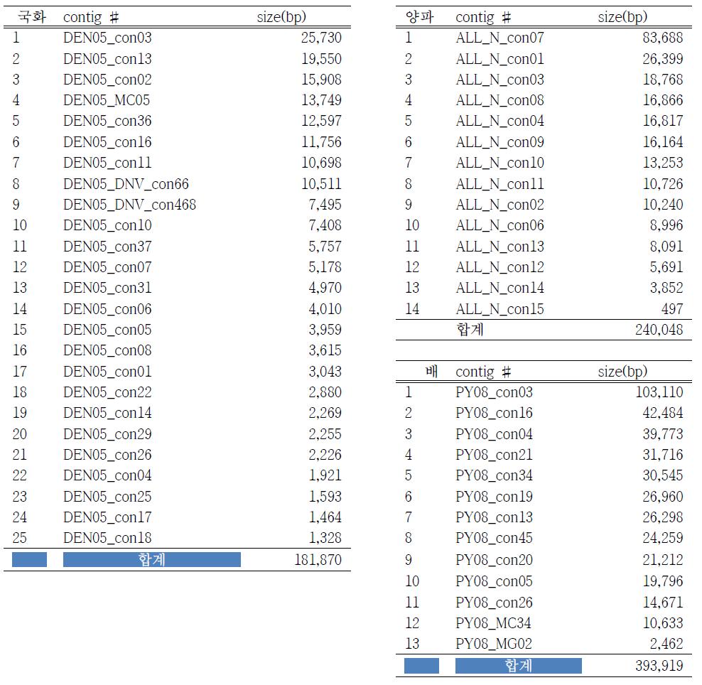 국화(DEN05), 양파(ALL-N), 배(PY08)에서 확보된 미토콘드리아 염기서열 contig.