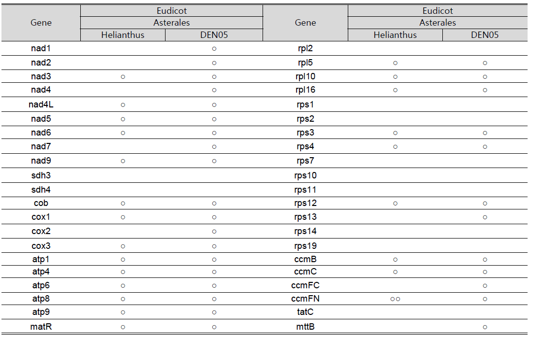 국화(DEN05) 와 근연 보고종의 미토콘드리아 유전자 조성 비교.