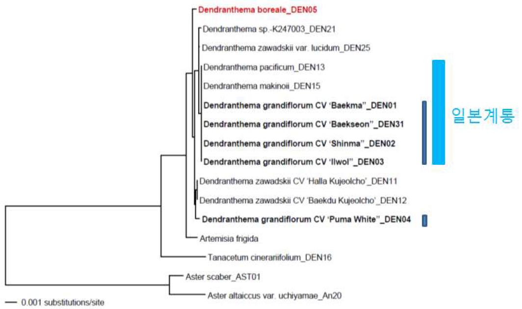 본 연구소에서 보유한 엽록체 유전자 7종류에 근거한 ML 계통도.