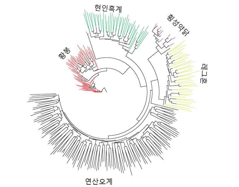 4개 농가 및 레그혼 281수의 MS마커 정보로 추정한 개체별 유전거리