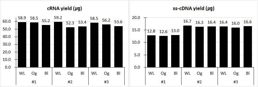 cRNA yield from 100 ng of purified RNA (left) and ss-cDNA yield from 15 ㎍ of amplified cRNA (right)