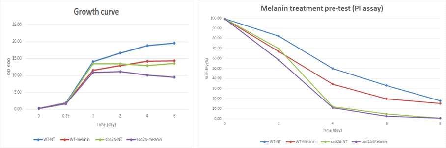 Growth curve and PI assay result of melanin treated yeast cell
