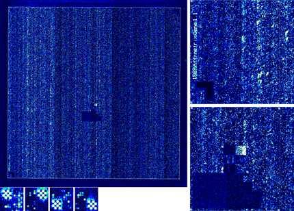 Scan image of Affymetrix(R) GeneChip(R) Chicken Gene 1.0 ST Array