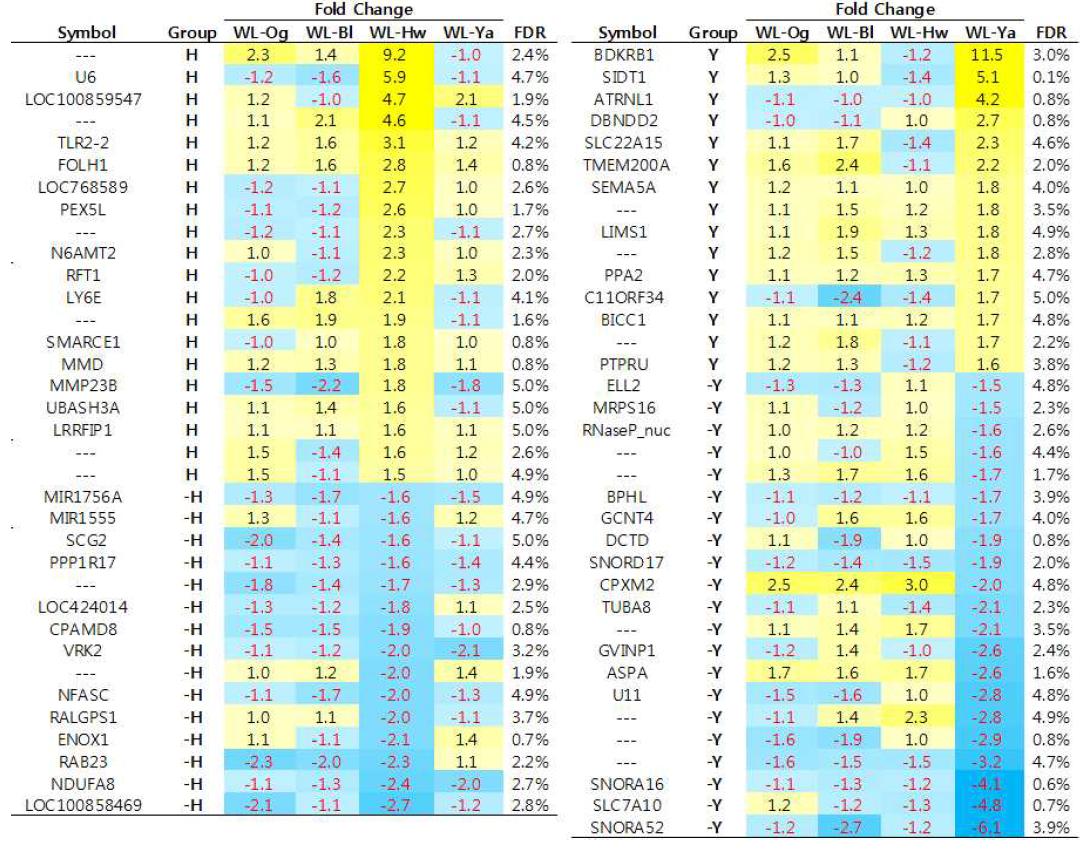 Differentially Expressed Genes (DEGs) and their groups (H) Hwangbong, (Y) Hoengseong Yakdak