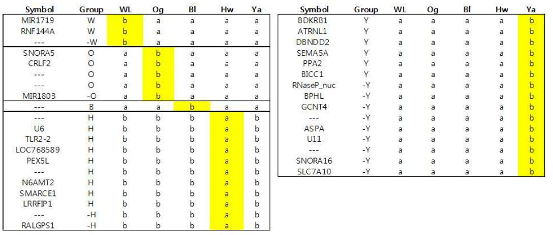 Marker genes selected by Tukey’s Post Hoc Test result at each strains