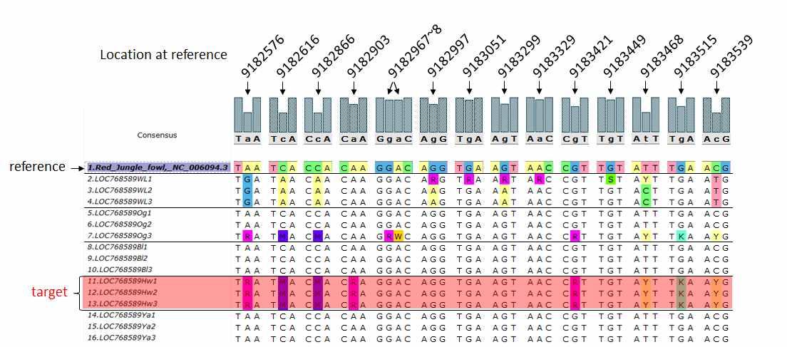 Disagreements in the multiple sequence alignment result of LOC768589.