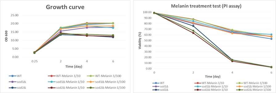 Growth curve and PI assay result of melanin treated yeast cell