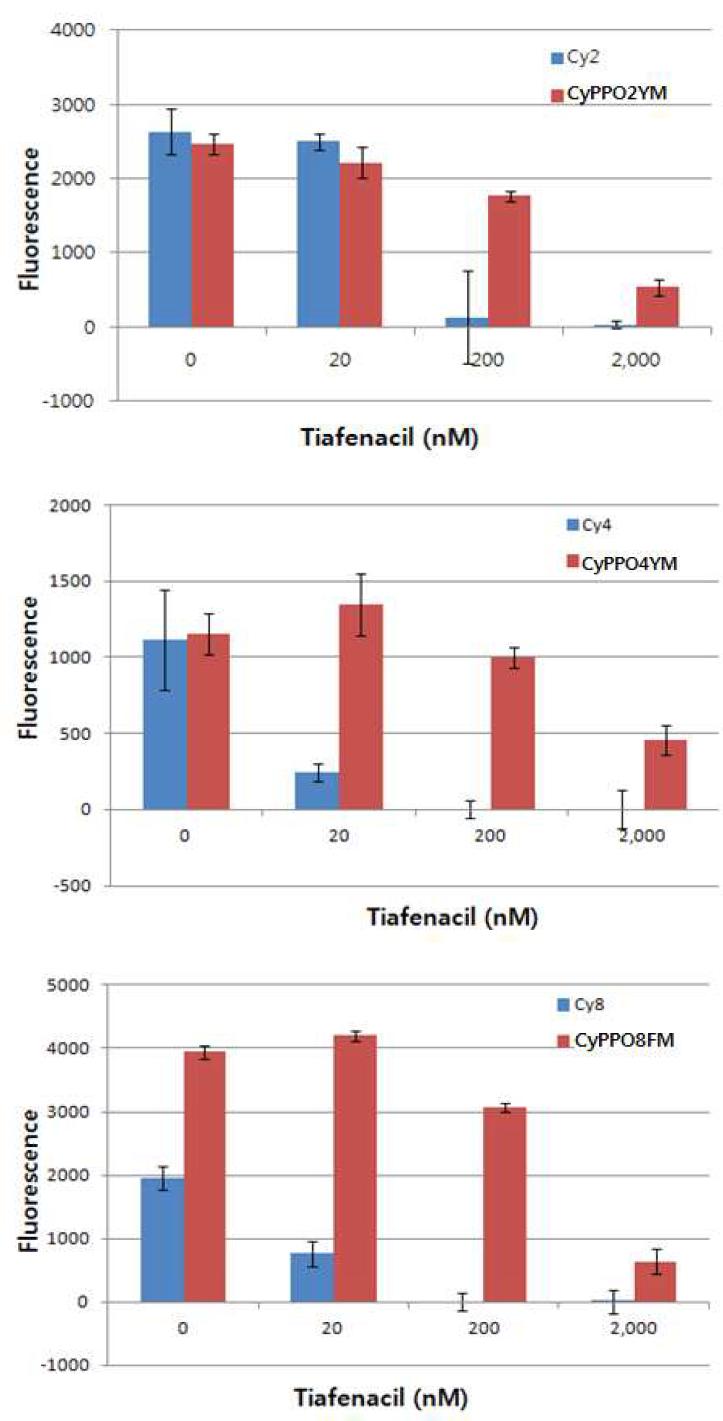 CyPPO 와 modified PPO 의 Tiafenacil 에 대한 효소 활성