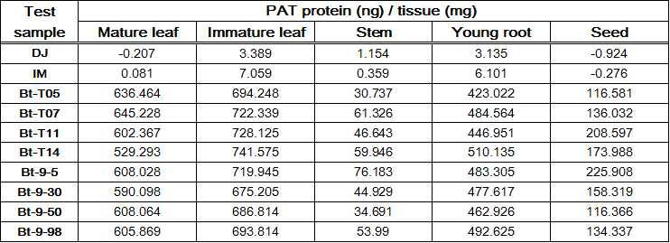 조직 별 PAT 단백질의 함량 : ELISA 분석값