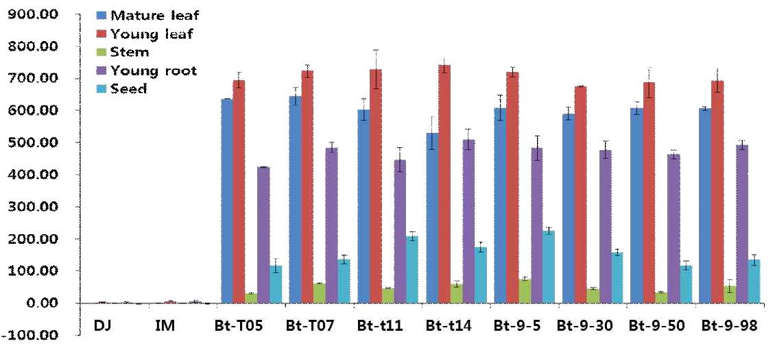 조직 별 PAT 단백질의 함량 : ELISA 분석값