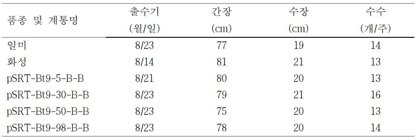 생육조사 결과