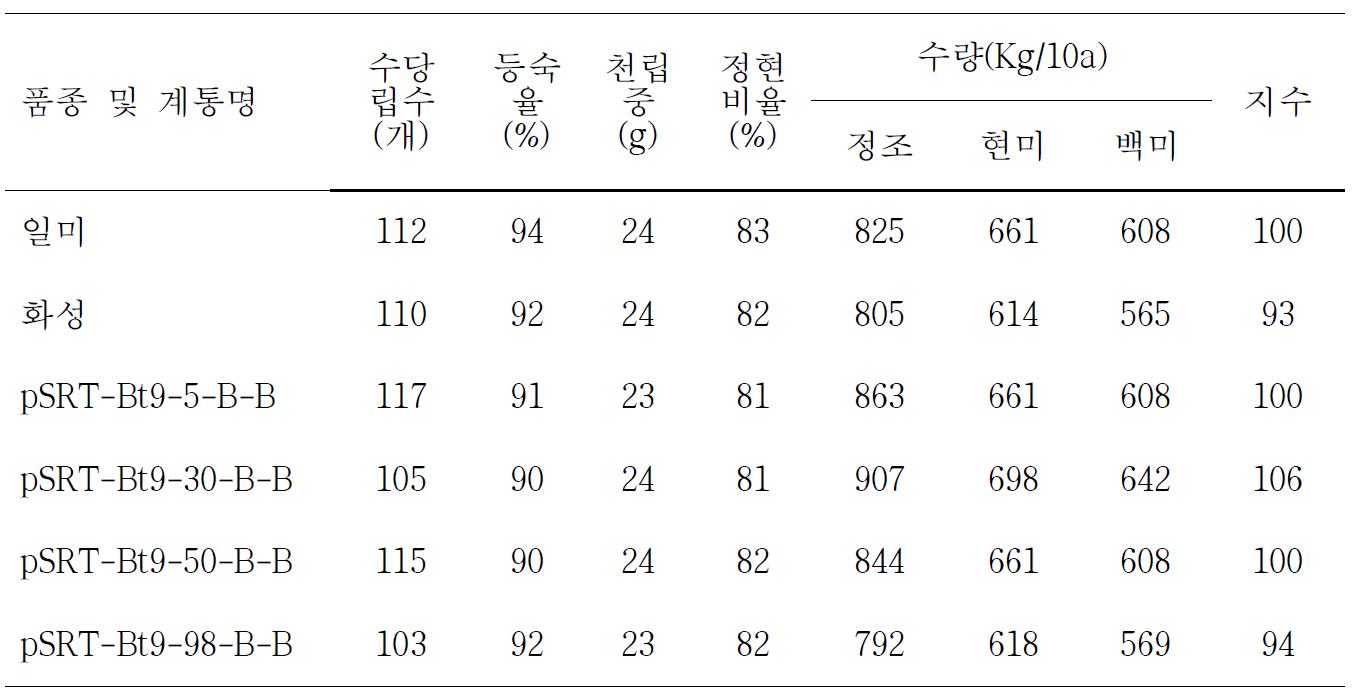 수량 및 수량 구성요소 분석 결과