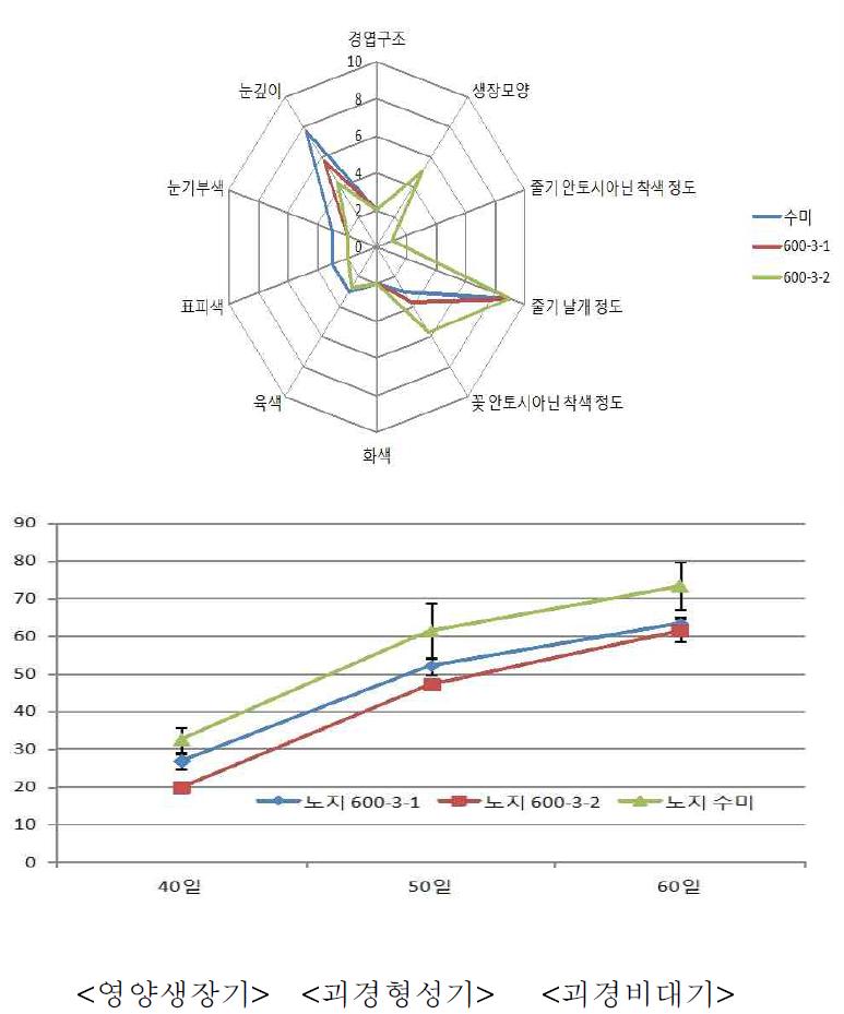 Plant height change according to day after planting of GM and non-GM potato in the field trial.