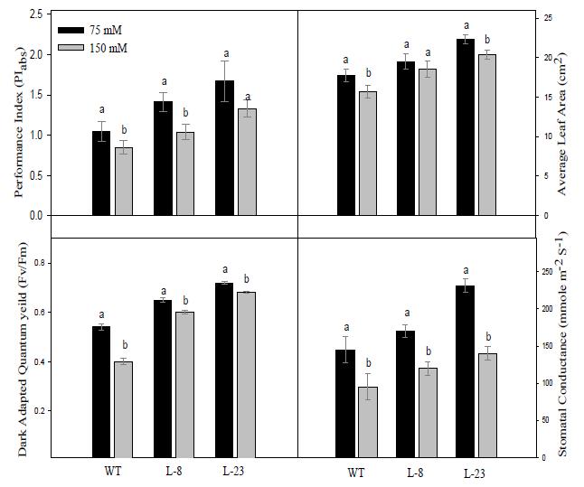 Relative Water Content (RWC) and biomass of CaMsrB2 expressing transgenic plants in saline environment