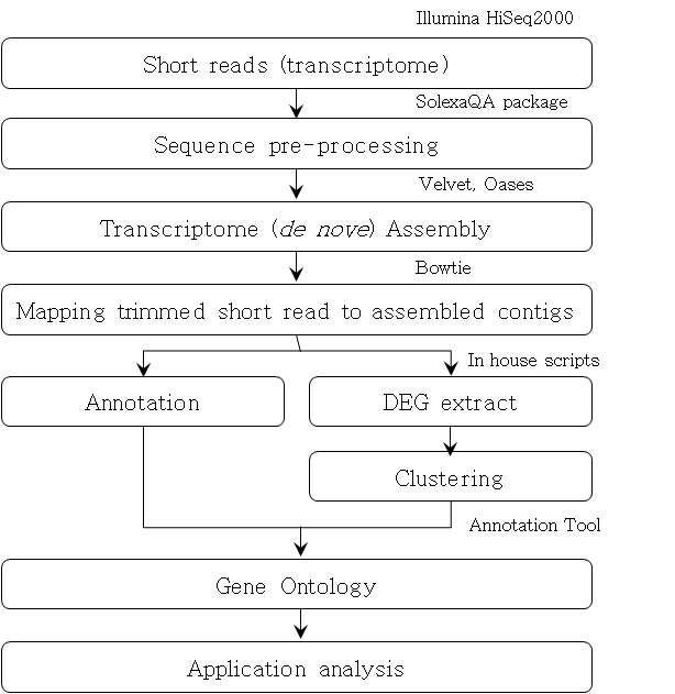 Analytical work-flow for total RNA